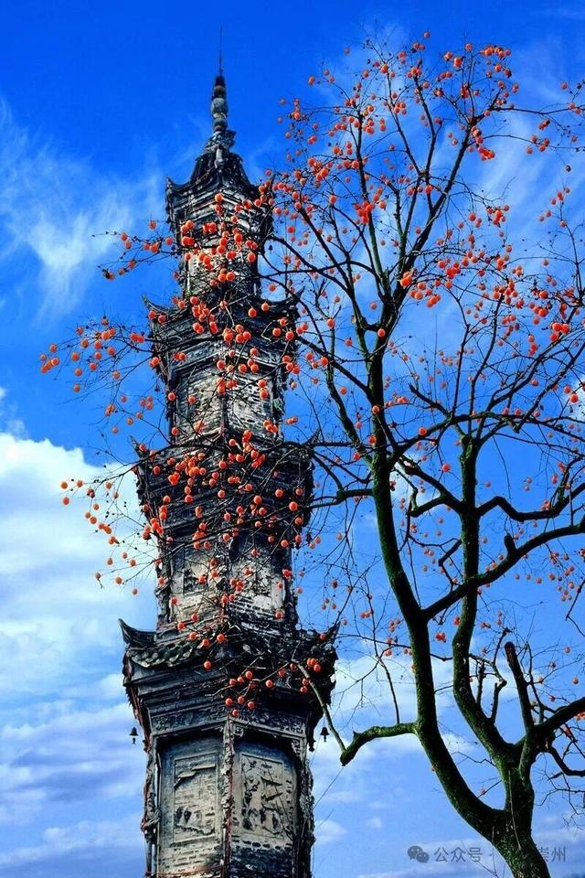 秋假去哪？崇州这些亲子游宝藏地不容错过