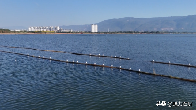 跨越山海的生态之约 奏响人与自然和谐乐章