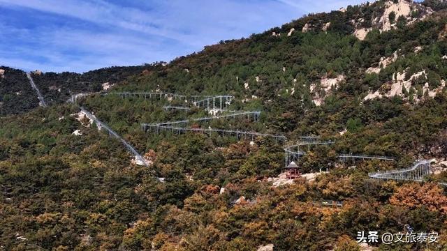 来赏银杏啦！还记得那年 “杏” 花微雨，你说要来新甫山~