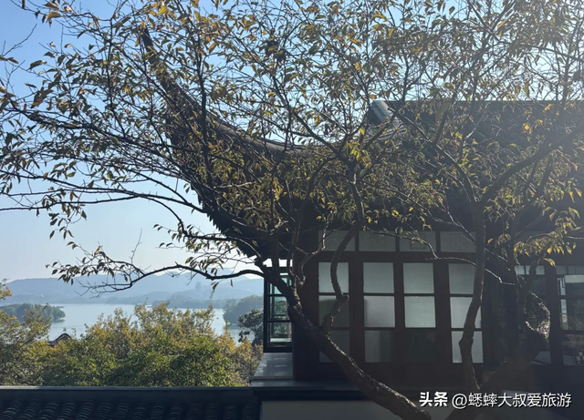 80%人错过的杭州秋冬诗意景点，免费可观西湖，还有绝美打卡处！