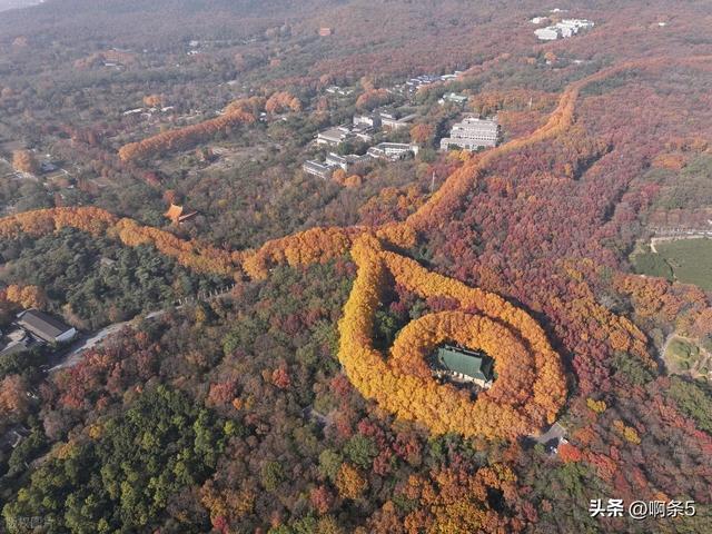 江苏南京，钟山风景区，大家展开想象，这个像什么？