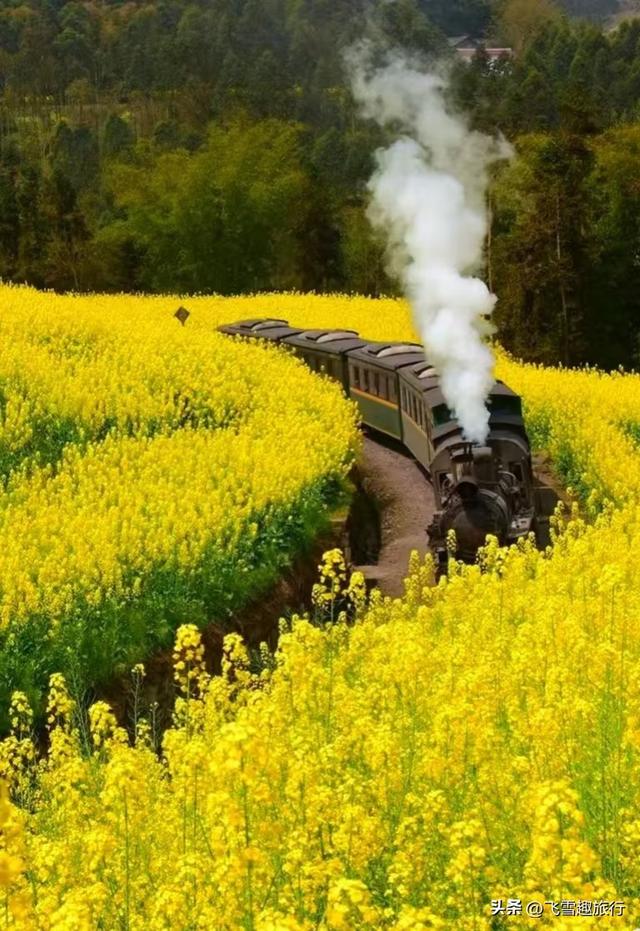 春暖花开，正是赏花好时节，这份三月赏花路线图请收好