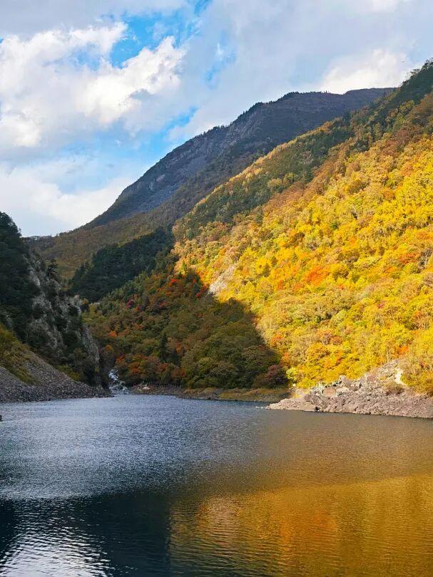 松坪沟彩林已“封神”！泡暖泉、赏非遗打铁花，这波三重盛宴错过等一年！