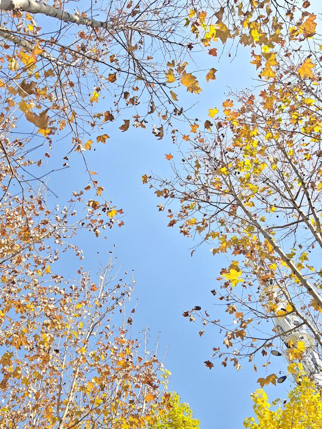 昆明的冬天真的美