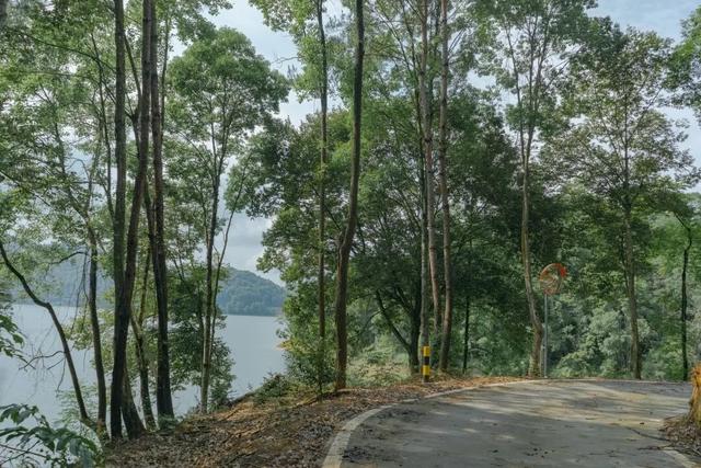 韶关这些秋冬的徒步骑行宝藏路线值得你N刷！喊上搭子，周末就出发去捕捉秋天的限定温柔