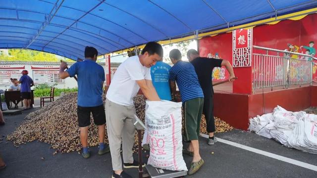 寻访中国抗日军政大学第十分校旧址——“背包大学”里的岁月回响与振兴足音