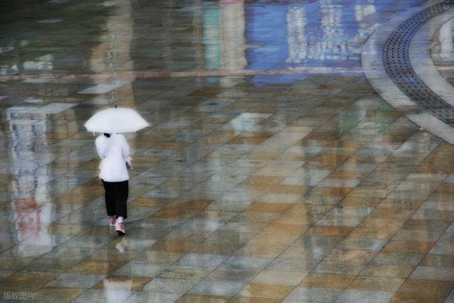 散文·中秋连云港 大雨润山河