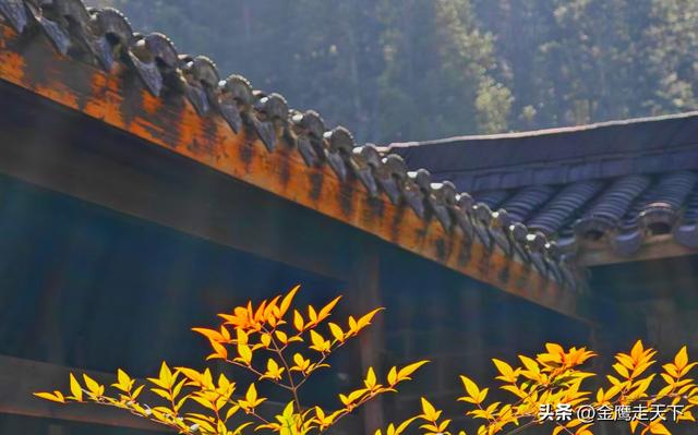 皖鄂之巅迎远客 山水红韵架桥梁——东北旅行商媒体走进天堂寨考察