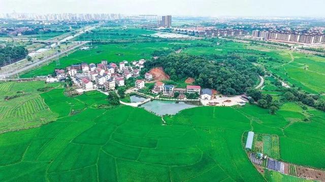 游在鹰潭｜一日暴走指南！3000年古窑+城市绿肺+潮流夜市，承包你的古今快乐!