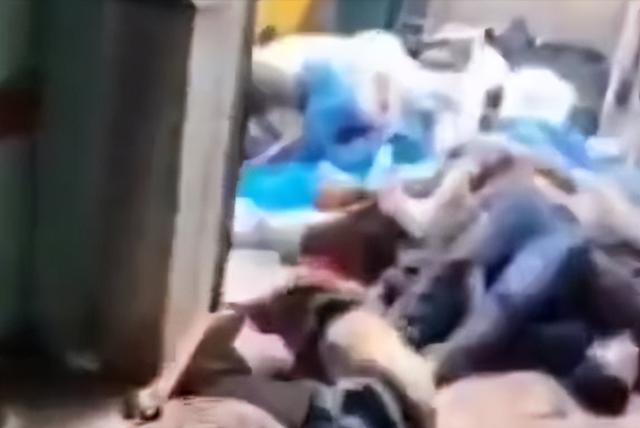 叙利亚新政府军下令开始屠城！男女老少全部被杀，内乱再次爆发！