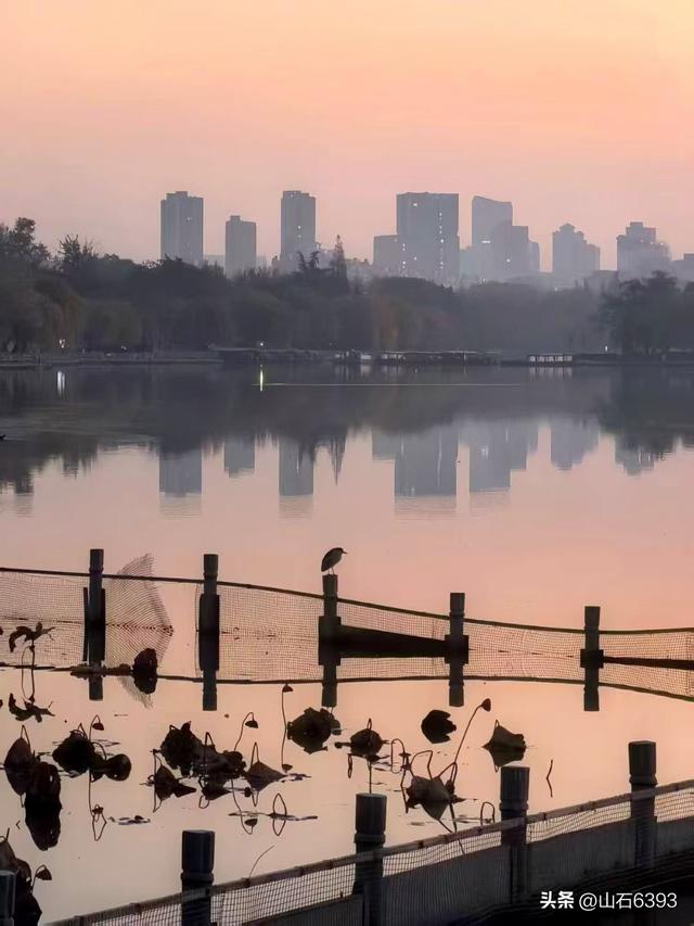 新华社原军事记者陶俊峰泉城美拍：《初冬大明湖晨曦美景》