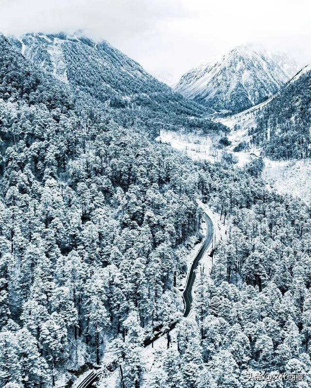 这几年最大的教训，想去西藏得趁早！