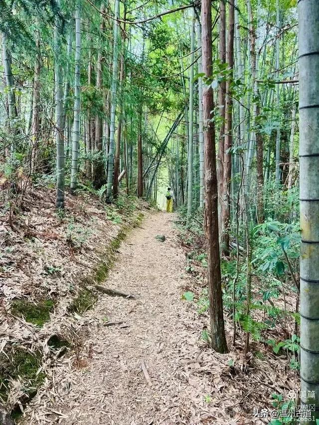 华东最后的香格里拉秘境!仙居公盂岩徒步走起!