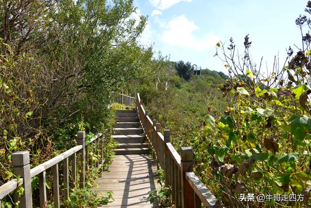 河北百草畔（中）：览尽三山舒望眼，行穿百草浣尘襟