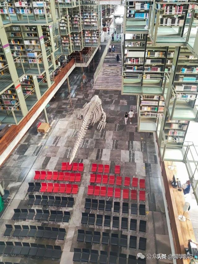 墨西哥城见闻：三文化广场和悬浮图书馆