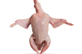 俗话“一鸽胜九鸡”，常吃鸽子肉有什么好处呢？这几类人或不适合图片