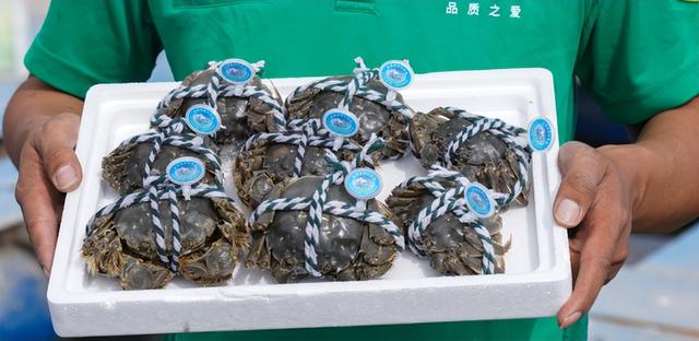 螃蟹比人都金贵！住青藏高原喝冰川水，让打工人又馋又羡慕