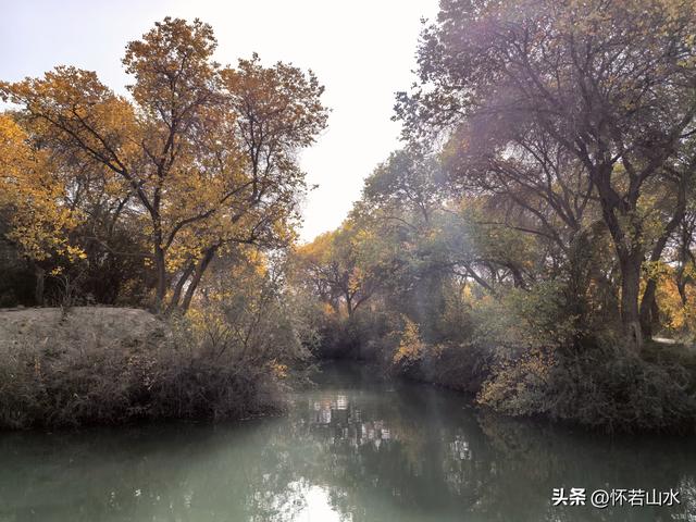 2025环南疆沙漠铁路背包自由行日记(4)——游览泽普金湖杨景区