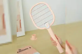 电蚊拍中有趣的四倍压整流电路图片