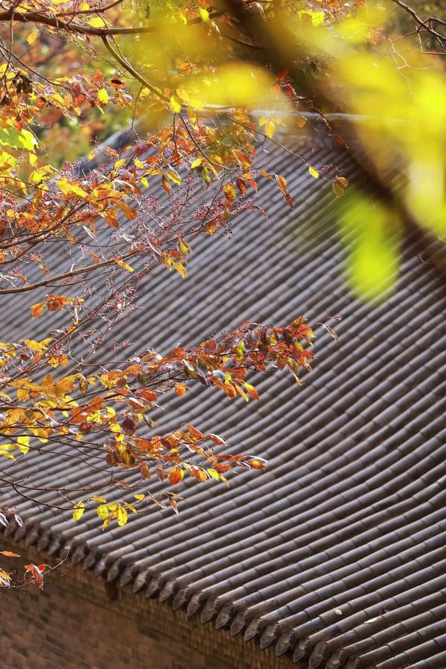 快去看！这才是五莲山一年中最美的时候！