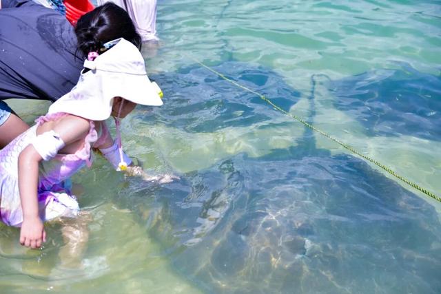 分界洲岛错峰游 | 摸鱼、玩海玩到飞起～