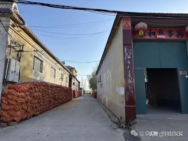 冠县乡韵·贾镇洼里村