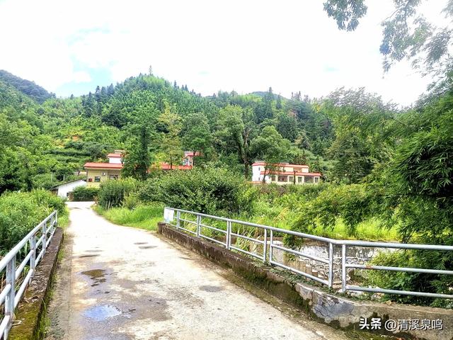 溪山环处的旧影与新绿共长——记柏树下村