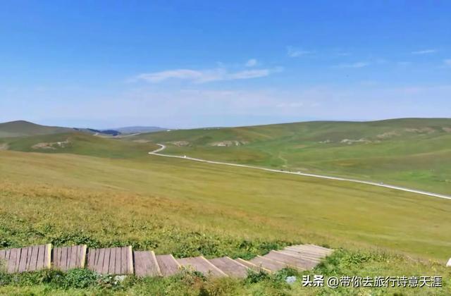 新疆喀拉峻草原,花斑森林镶嵌在高山草甸上