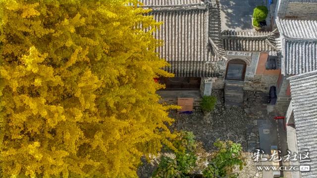 寻美云南（四）大理凤羽，诗意旅居