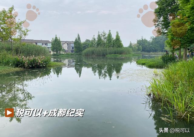到温江幸福田园郊游，看乡村湿地美景，火车主题餐厅让人怀旧