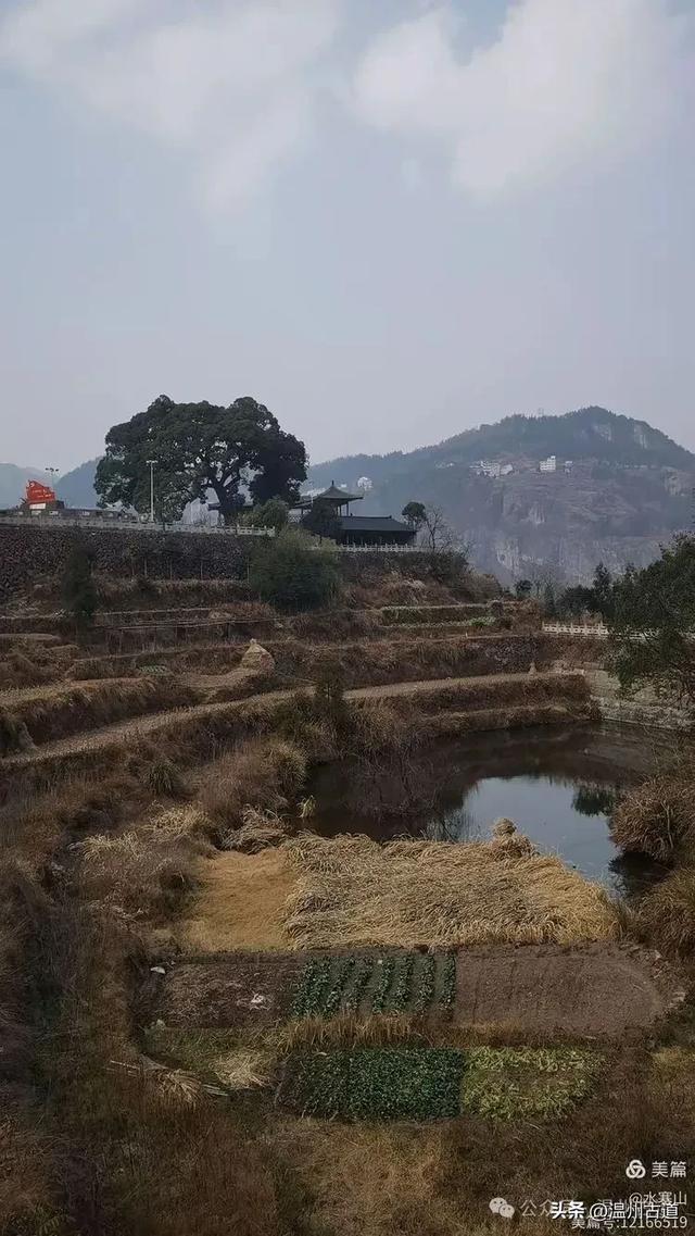 看过温州高峡不朽的轮船—石斑岩美景，可你去过它周边的村庄吗