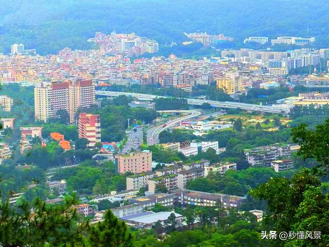 广州这个最美公园，比白云山人少，9000亩天然氧吧，太治愈了！