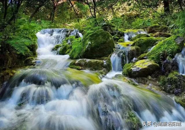 “双节”同庆,快乐翻倍!洛阳花式文旅大餐已备齐!