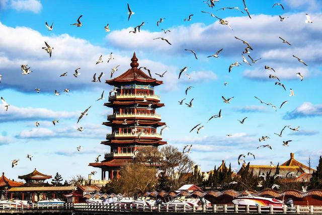 陕西人游了青岛和烟台，直抒胸臆：青岛人和烟台人气质压根不同