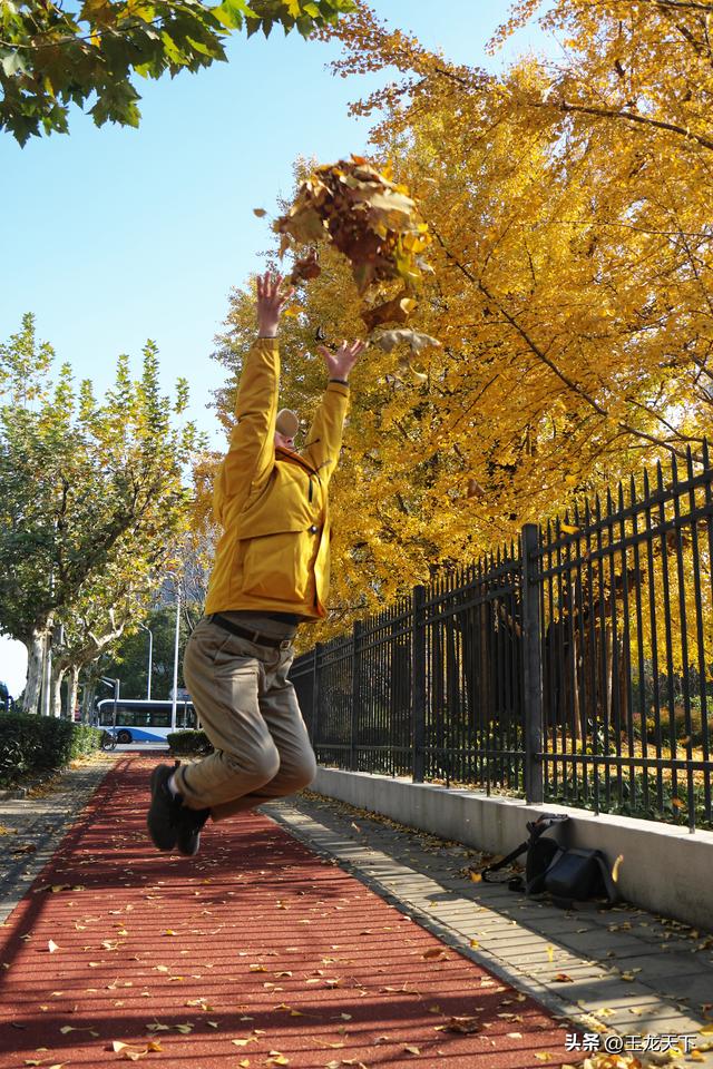 散文丨古银杏树下