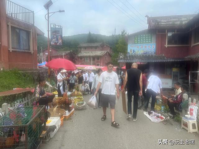 疆藏云贵行，六盘水8
