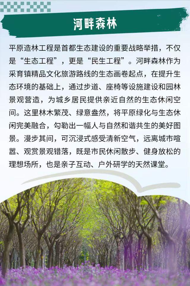 Country Walk大兴篇：在森林、绿道与社区间，感受城乡融合的暖意