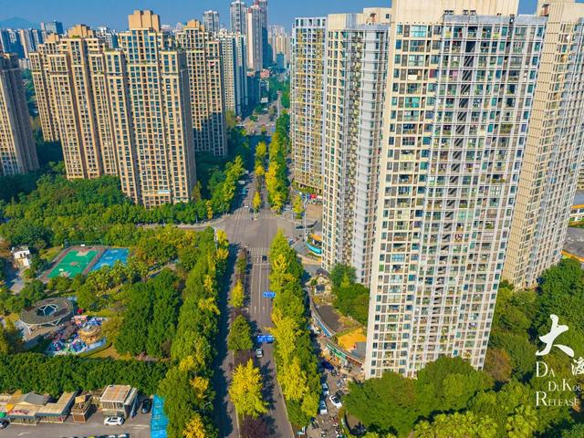 大渡口这里开启“美颜模式”，打卡要趁早～