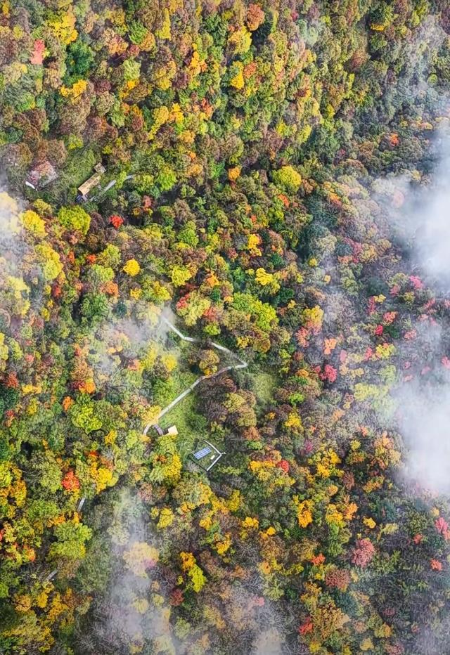 雾锁摩天岭：山与云的共生诗