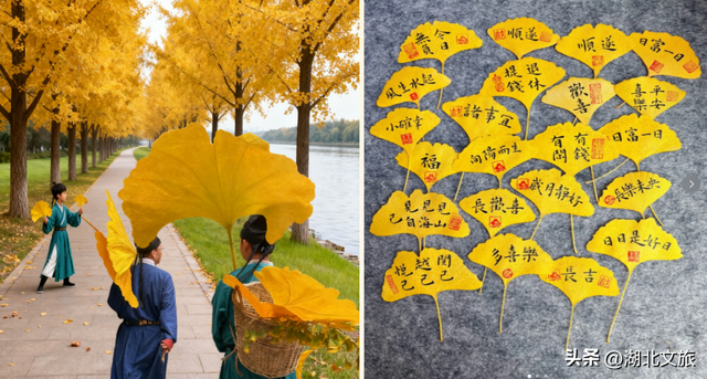 一叶知秋，一梦千年：千年银杏谷"金枝节"邀您入画!