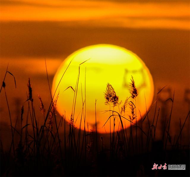 大漠深处落日圆 党河暮色醉敦煌