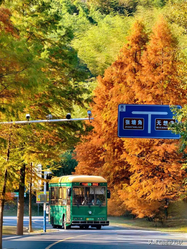 人在南京，红叶正盛，等你来～