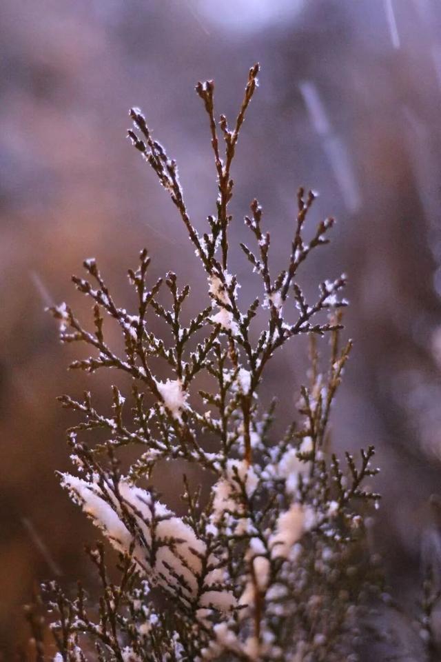 终于等到你！第一波济宁雪景大片来了！
