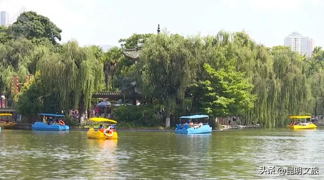 逃离“火海”!昆明凉爽气候引来各地游客,这个“私藏空调房”等你打卡