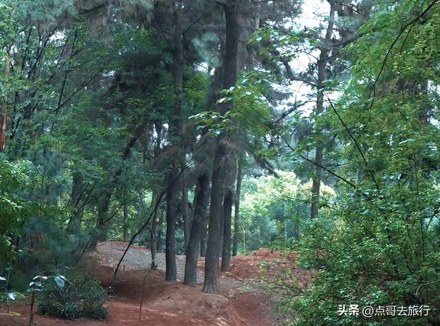 成都爬山徒步线路，全部免费，魅力不可挡，尽享山野宁静与清幽！