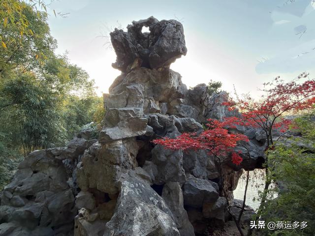 沪上园林古猗园已达颜值巅峰