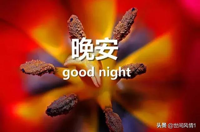 睡前晚安唯美的句子 晚安图片带字
