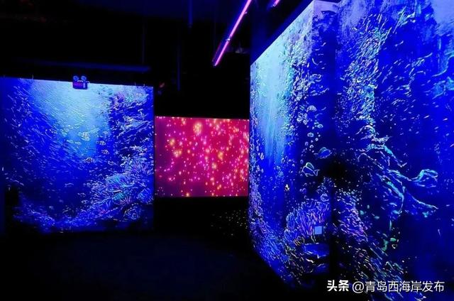 不是吧，西海岸遛娃还能这么酷！免费送票→