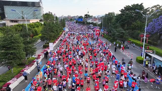 大理：从“文化大州”到“世界级生活目的地” 绘就栖居美画卷