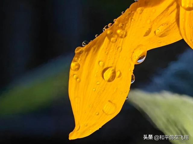 长假里的雨幕秋思